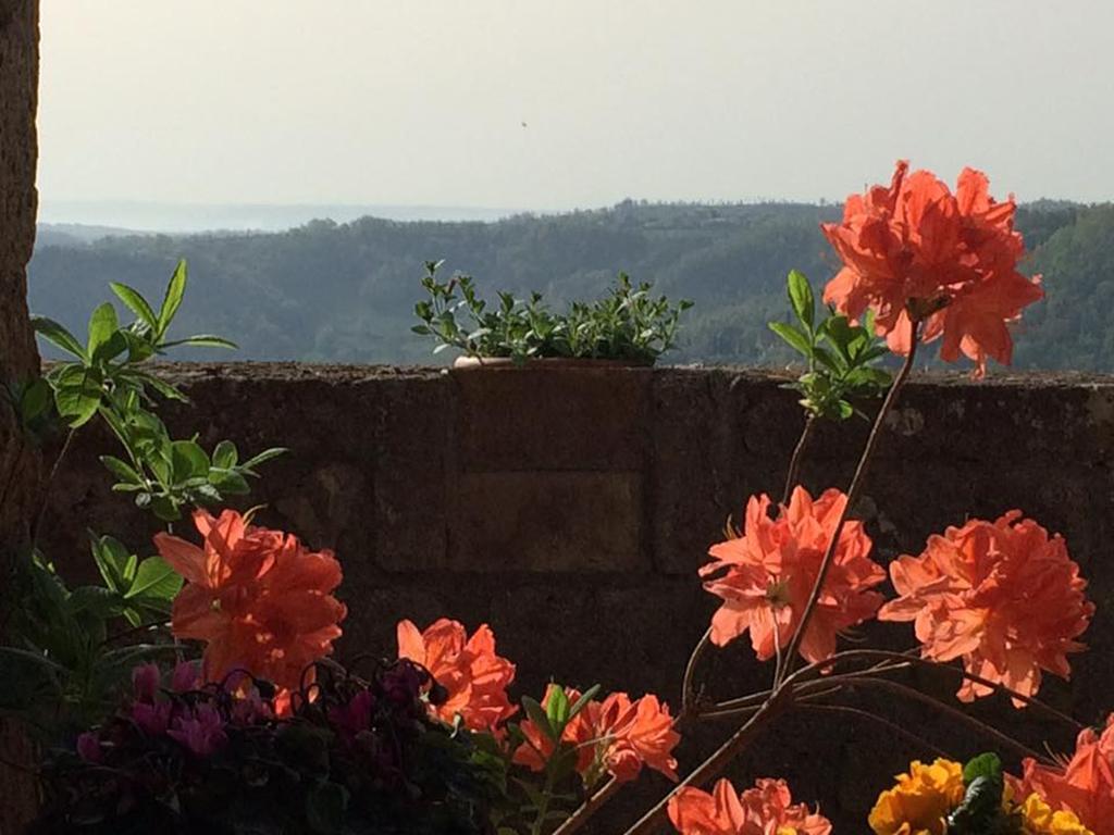 L'Incanto Di Civita Bagnoregio Ngoại thất bức ảnh